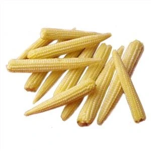 Baby Corn säilyke suolavedessä